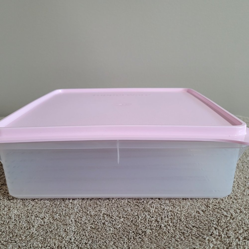 Tupperware Square Snak-Stor Container Snack